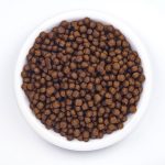 Wildbest chicken cat food kibble in bowl
