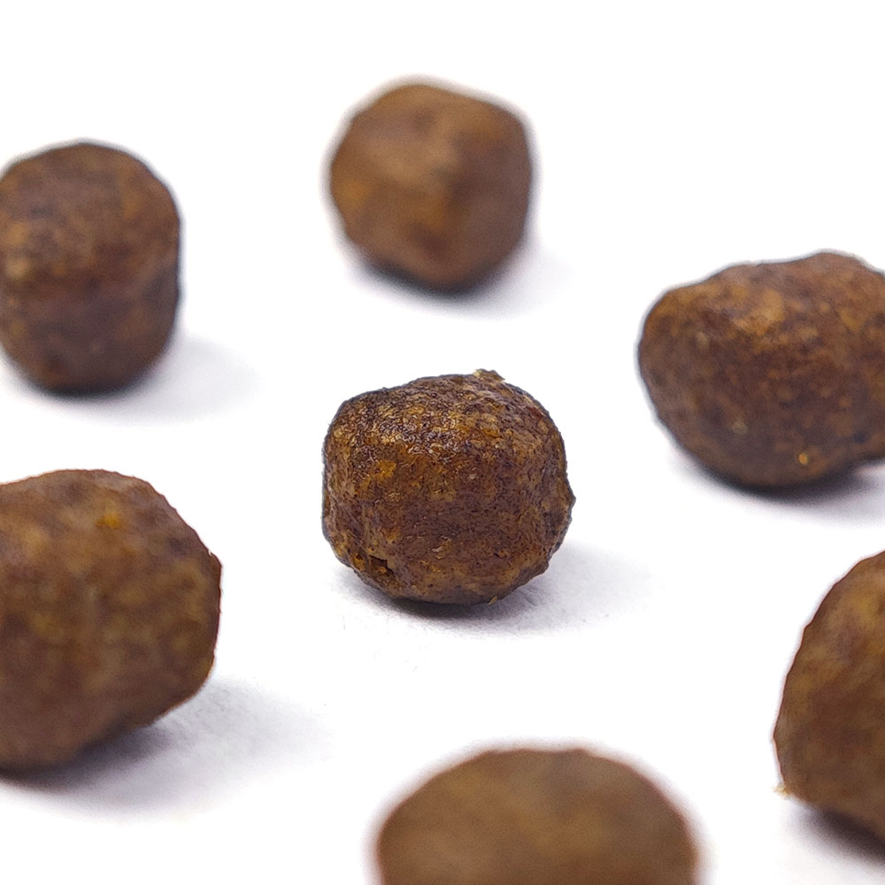 Close-up of Wildbest chicken cat food kibble texture