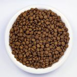 Wildbest chicken dog food kibble in bowl