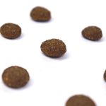 Close-up of Wildbest chicken dog food kibble texture