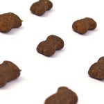 Close-up of Wildbest chicken and duck dog food kibble texture