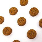 Close-up of Wildbest duck and pear baked cat food kibble texture