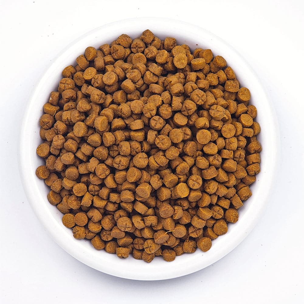 Wildbest duck and pear baked dog food kibble in bowl
