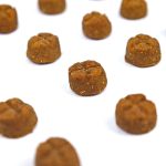 Close-up of Wildbest duck and pear baked dog food kibble texture