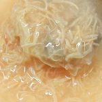 HENGSHENG CUSTOMIZED CHICKEN WET FOOD - product image 1